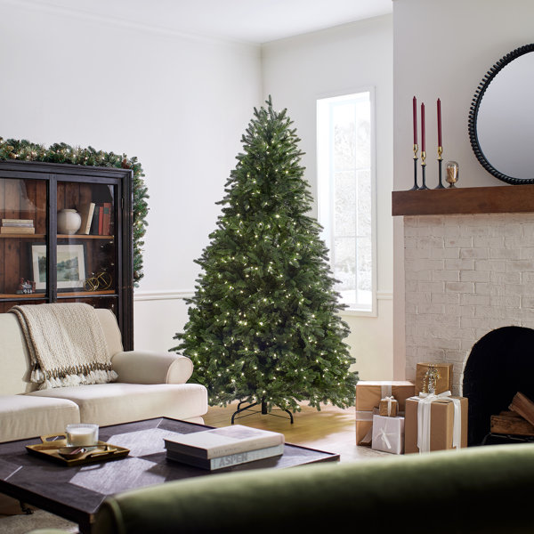 Three Posts™ Princeton Fir Lighted Christmas Tree & Reviews Wayfair